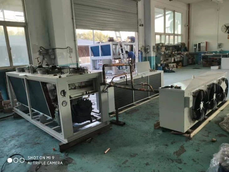 Condensing Unit Hermetic Compressor With Electric Defrost